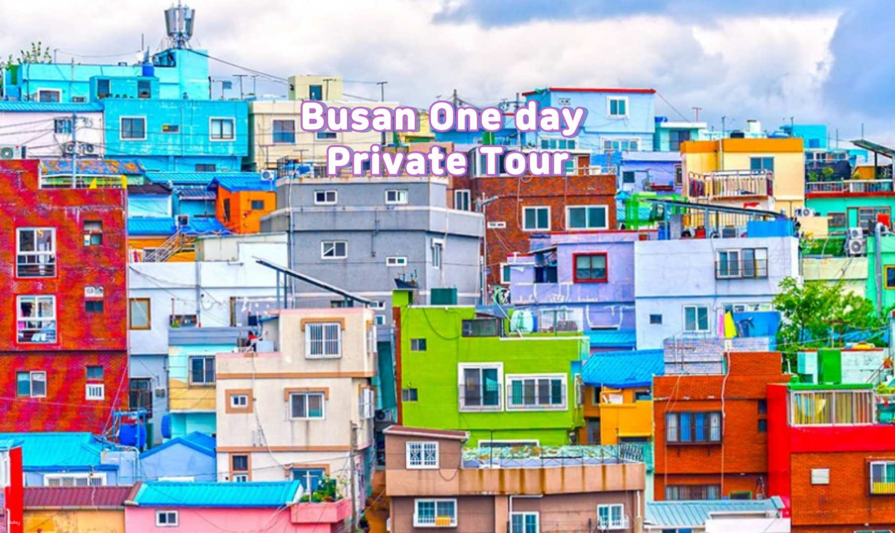 Experience the charm of Busan's unique architecture in Gamcheon Culture Village. Wander through colorful streets and enjoy the rich stories behind this artistic neighborhood on a delightful one-day private tour.